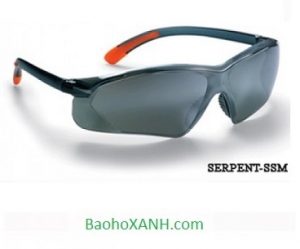 Kính Bảo Hộ Mắt Proguard Seprent SSM Chất Lượng Tại Bình Dương 5 Kính Bảo Hộ Mắt Proguard Seprent SSM