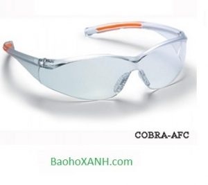 Kính Bảo Hộ Chống Bụi Cao Cấp Chỉ Có Tại Bình Dương 1 Kính bảo hộ