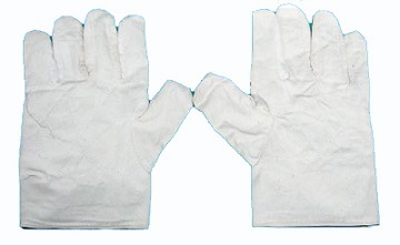Găng tay vải bạt dày cotton màu trắng dài tới khuỷu tay