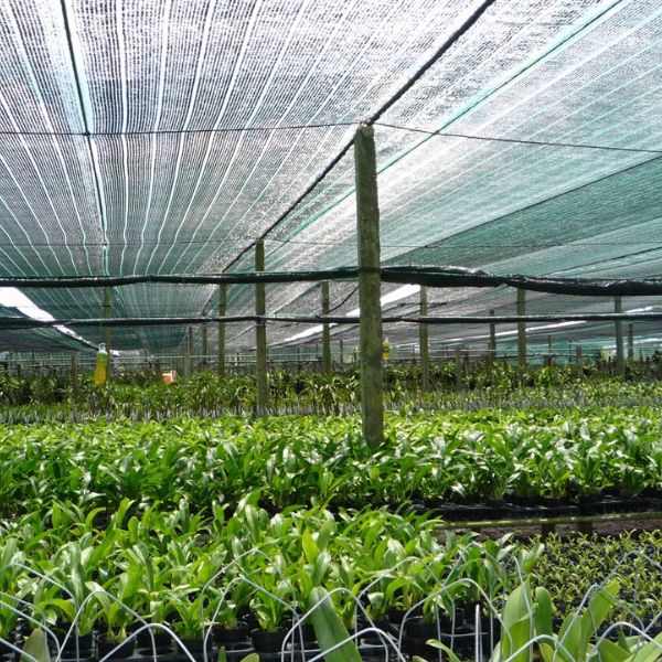 Lưới Che Nắng Nhập Khẩu