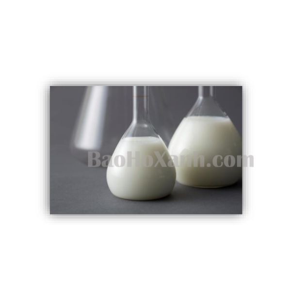 Tấm Wafer Đẹpp