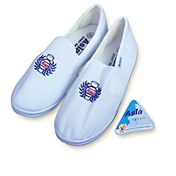 Giày Vải Nữ Màu Trắng Cực Chất Lượng - GVA0049