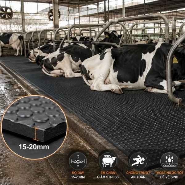 Thảm Cao Su Lót Chuồng Trại Chăn Nuôi Bò Sữa - TCS0012