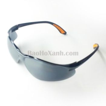 Kính Bảo Hộ Mắt Model EV 304