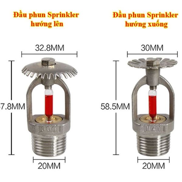 Đầu Phun Hướng Lên An Toàn